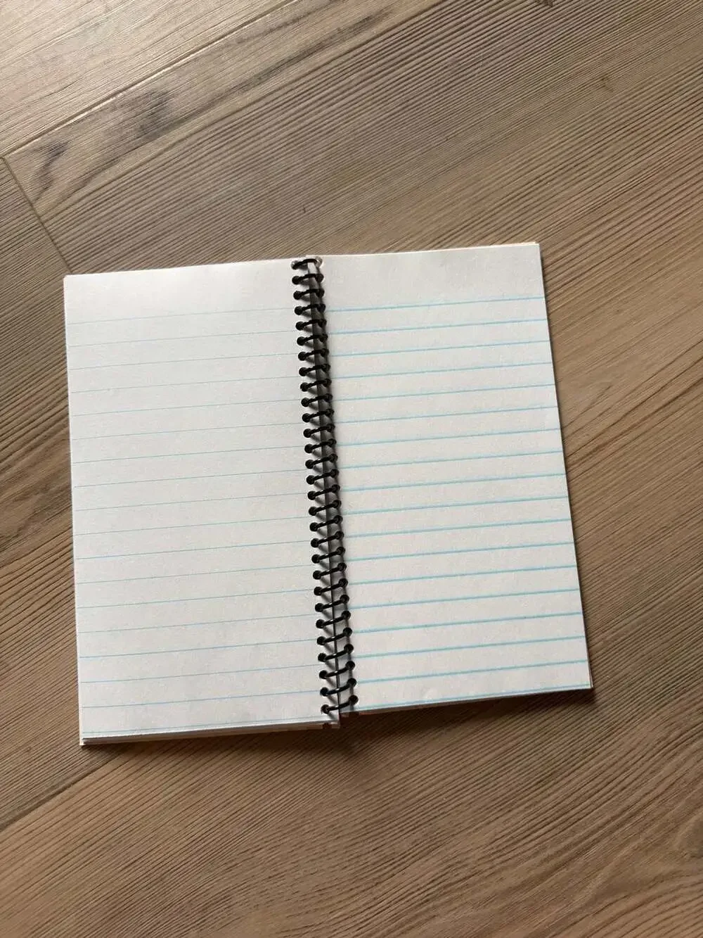 Francis Joins the WACS Vintage Movie Memorabilia Spiral Notebook